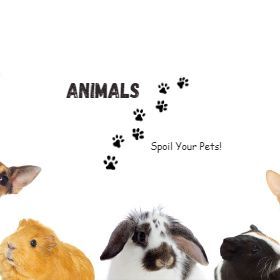 Pets
